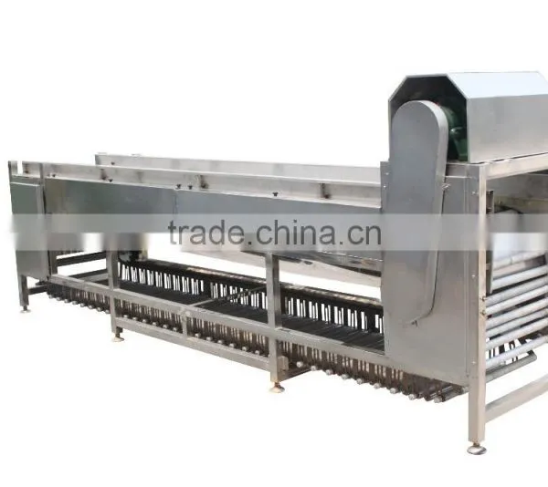 OG-606 CE Qualified Vegetable and Fruit Sorting Machine photo-3