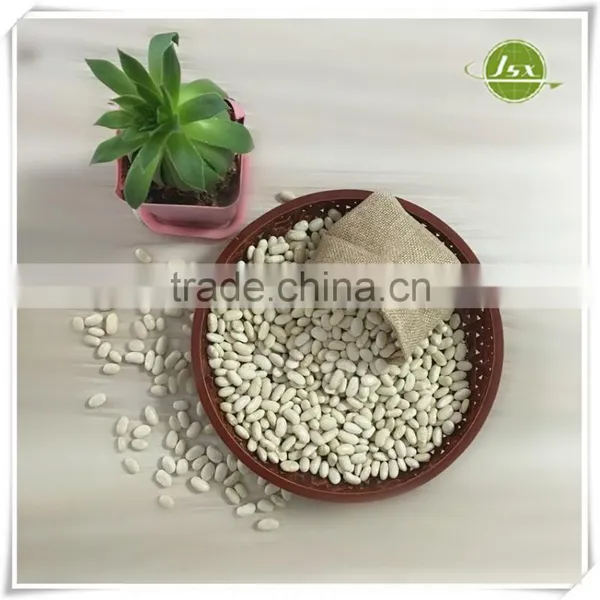 JSX Long Shape White Kidney Beans Food Trade Export photo-4