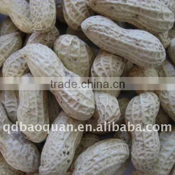 China Peanut With Shell for Sale