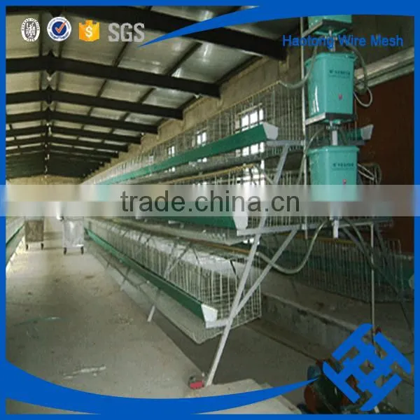 Hot !!! Used Poultry Battery Cages for Sale photo-5