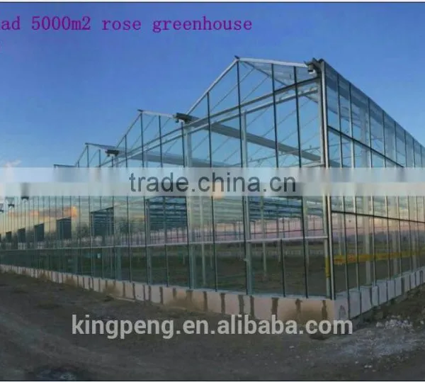 Commercial Rose Multi-span Glass Green House for Sale photo-2