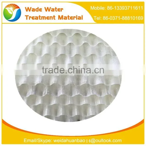 2016 High Quality PP 25mm Clear Plastic Hollow Balls Clear Plastic Round Ball photo-4