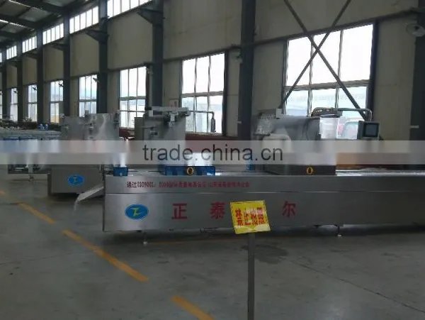 RZ420 Automatic Continuous Vacuum Packing Machine photo-2