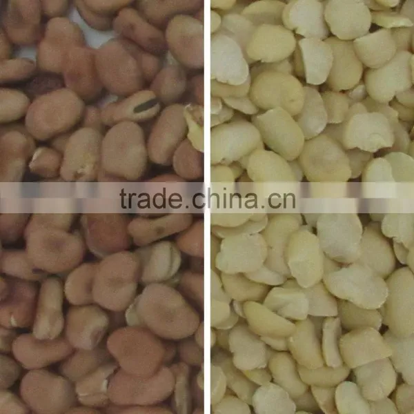 Excellent Quality and Good After-sale Fava Bean CCD Color Sorter Made in China photo-2
