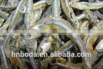 Fish Drying Machine photo-4