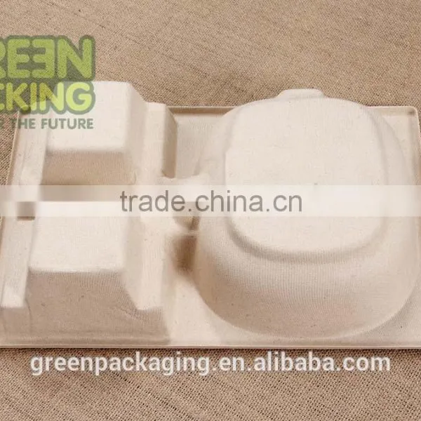 Biodegradable Electronic Products Packages From Bagasse photo-2
