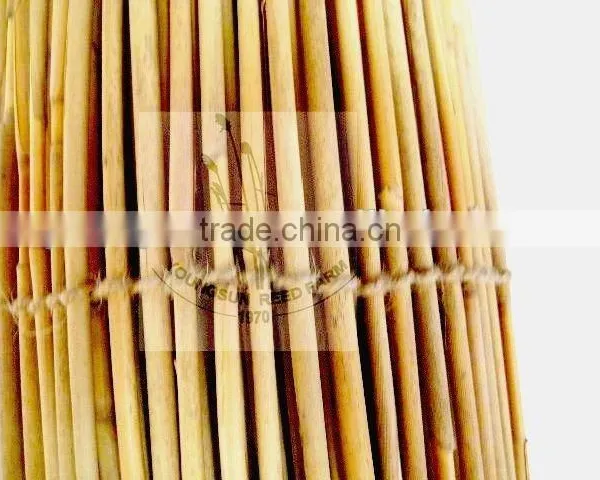 Reed Fence photo-3