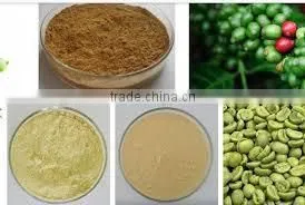 Green Coffee Bean Extract photo-3
