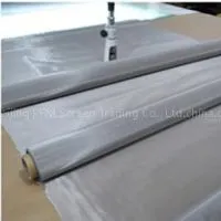 Stainless Steel Mesh