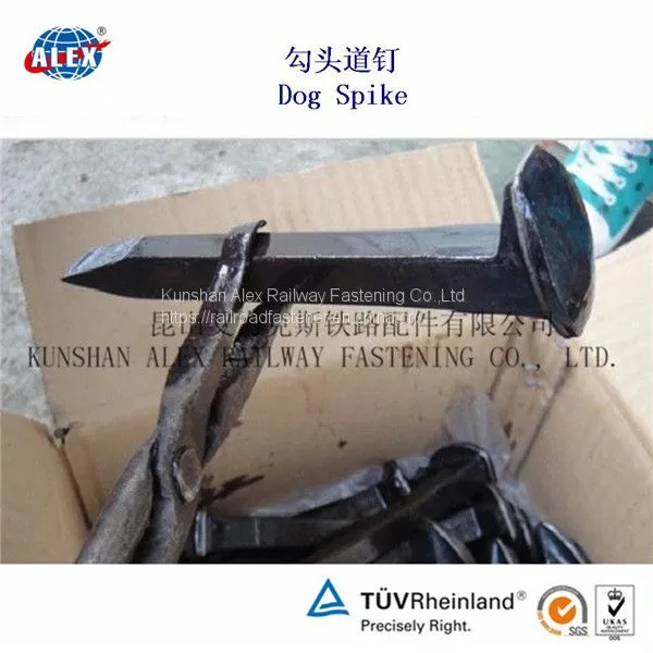 Track Spike/dog Spike Fasten Track on Wooden Sleeper photo-2