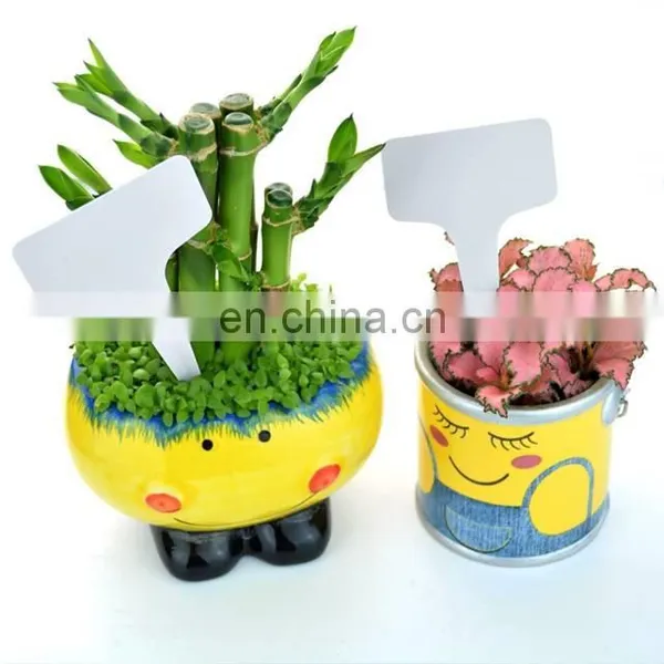 Plastic Waterproof Plant Labels photo-4