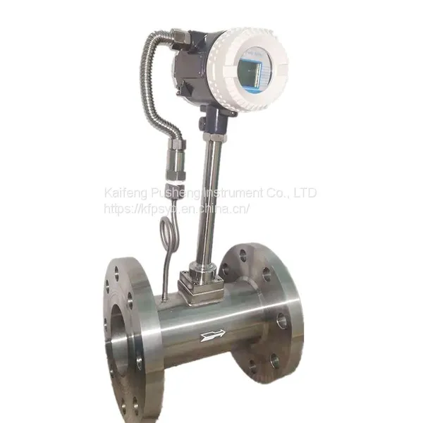 DN20 Gas Flowmeter Vortex Flowmeter Metering Accuracy photo-3