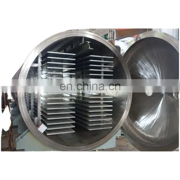 Large-scale Vacuum Freeze Dryer for Fruit Drying