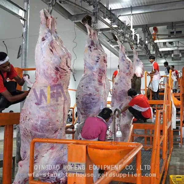 Professional Manufacture Butchery Equipment Machine For Cattle Slaughter Line photo-2