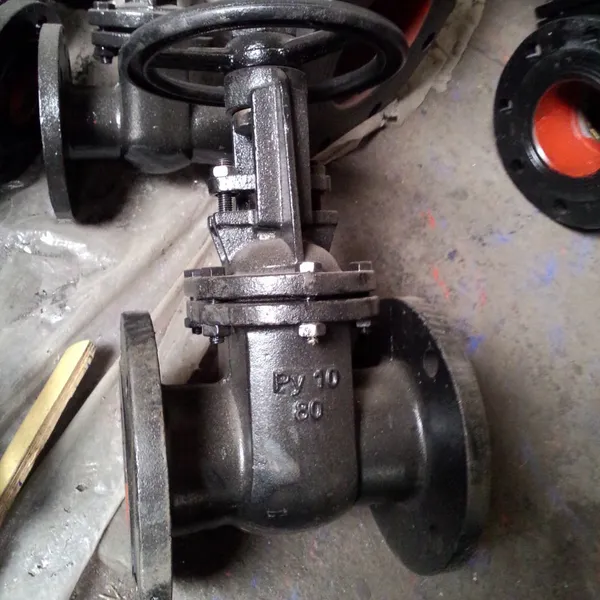 PN10,PN16. DN40-DN400mm GOST Cast Iron Gate Valve photo-5