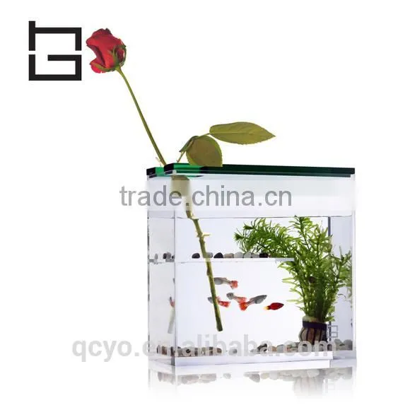 Rectangle Acrylic Aquarium