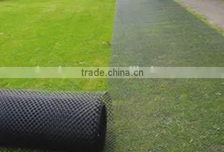 Grass Mesh for Turf and Lawn Reinforcement photo-4
