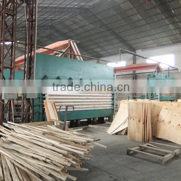 20MM LVL Plywood photo-5