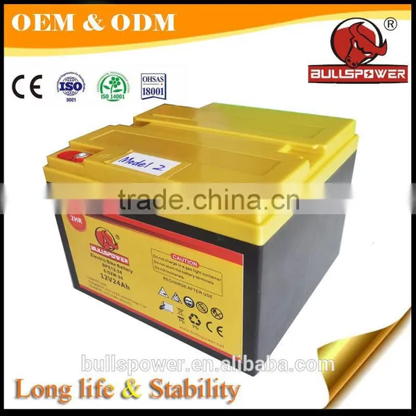 Electric Bicycle Battery Factory Ebike Lithium 24v 10ah Li-ion Akku photo-4