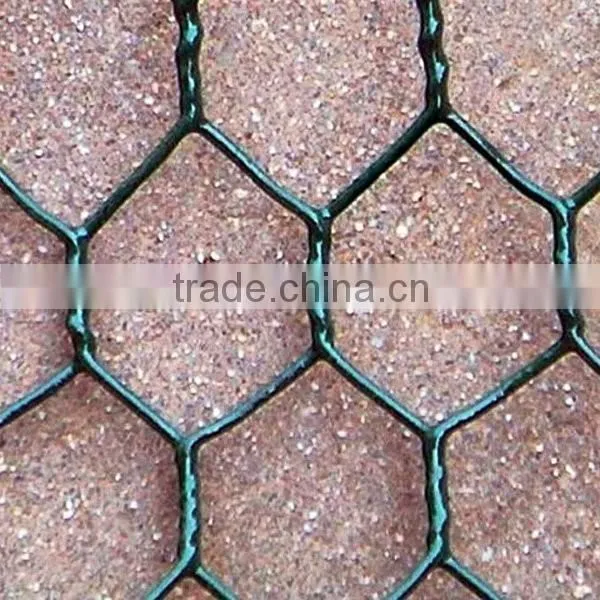 Pvc Chicken Coop Galvanized Wire Mesh photo-5
