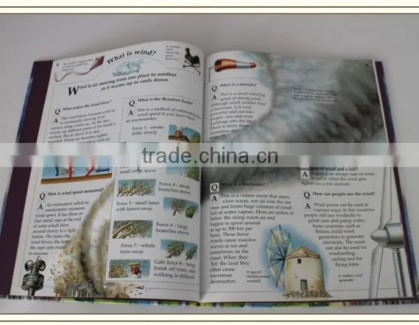 Professional Packaging Printing School Children English Teaching Book photo-2