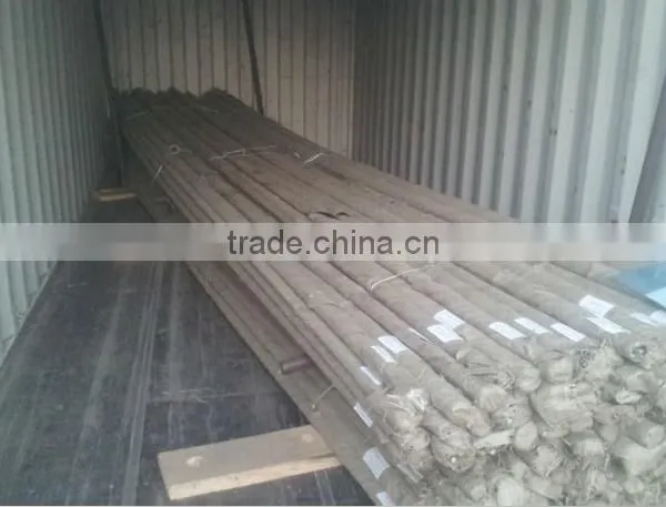 Formwork Steel Tie Rod With Ductile Wing Nut For Construction photo-4
