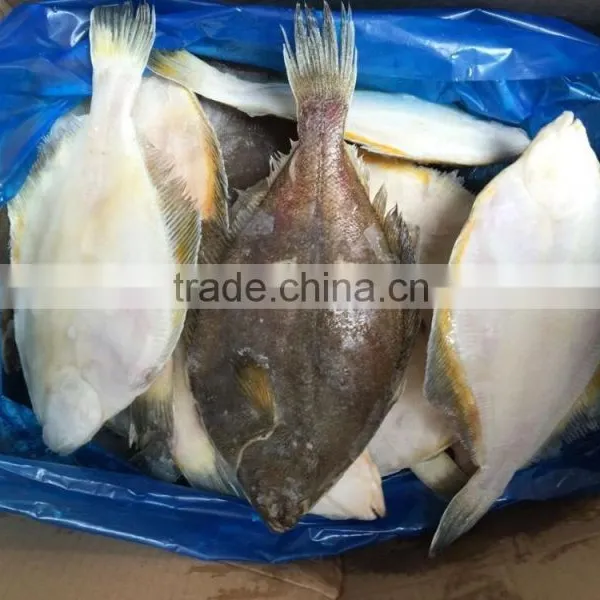 2016 China Top Quality Frozen Gold Plaice 200g-300g photo-3