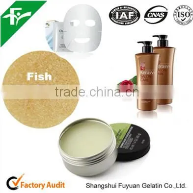 Fish Gelatin for Cosmetics, Chemical Auxiliary Agent