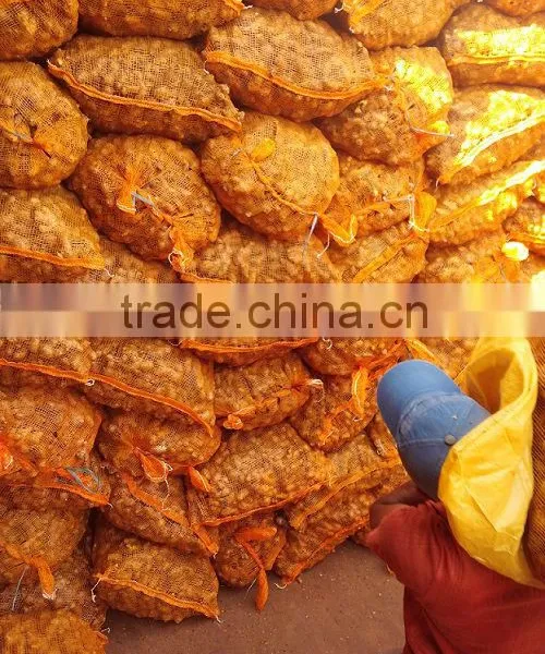 Fresh Ginger photo-4