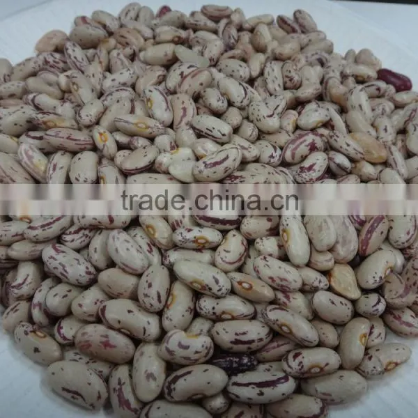 Best Sale Full Of Speckled Kidney Beans For Europe photo-2