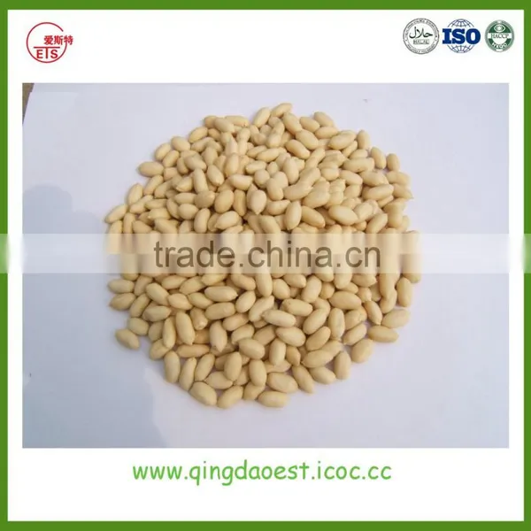 Blanched Peanut in Fresh Processing and Good Quality photo-5