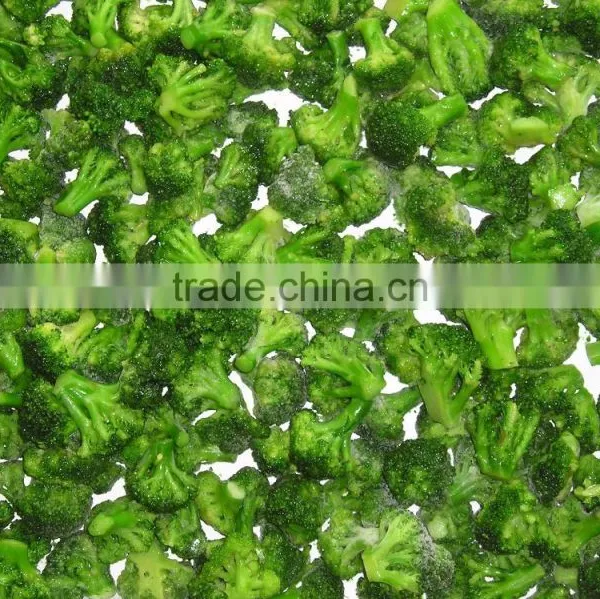 IQF Healthy Vegetable Products Frozen Vegetables Pinguin Broccoli in Hot Sales photo-3