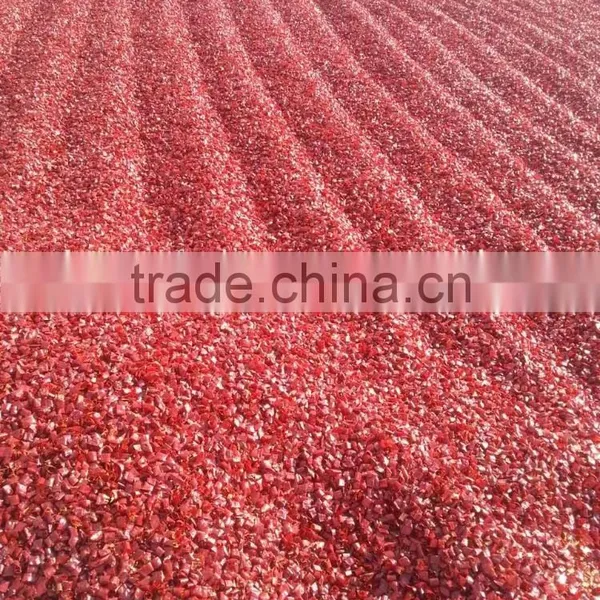 Chinese Manufacturer Exporter High Purity Low Moisture Sanying ,chaotian Chilli Erjintiao Chilli Dried Red Chilli Pepper Rings photo-3