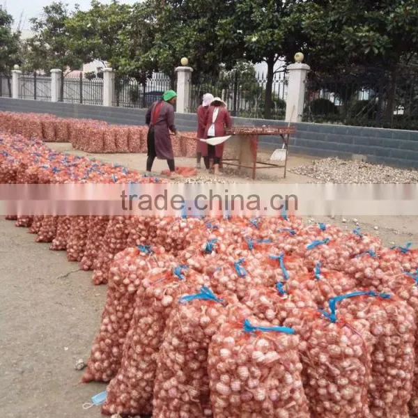 2016 New Crop Factory Supplier Normal White And Pure White Garlic for Indonesia, Malaysia, Thailand From China Factory photo-4