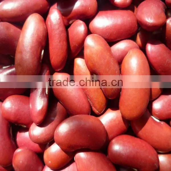 Organic Dark Red Kidney Bean