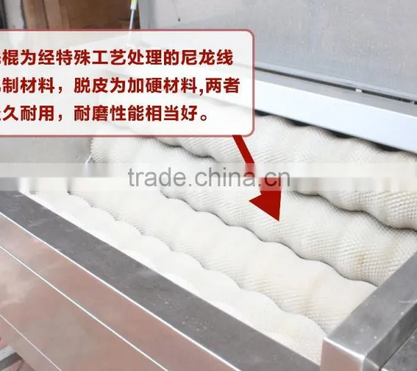 MSTP-500 Ginger Washing Machine Ginger Cleaning Machin Cassava Washing Cleaning Machine photo-4