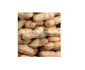 Peanut Inshell