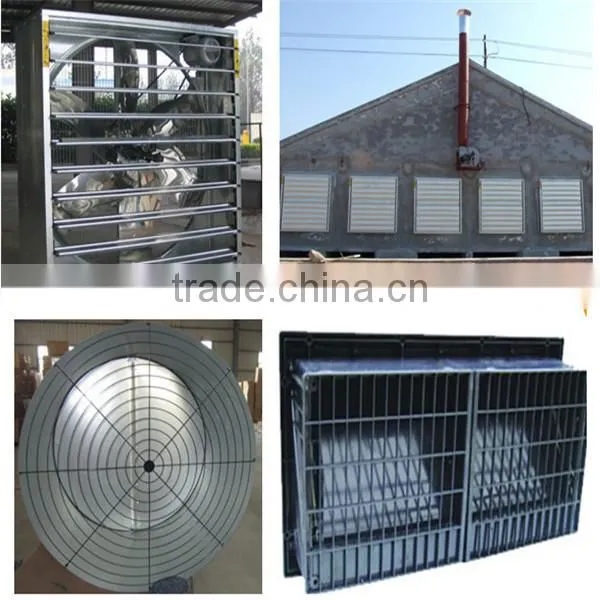 Automatic Breeder Farm Equipment photo-3