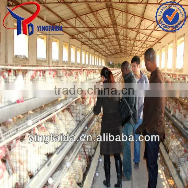 China Beekeeping Supplies