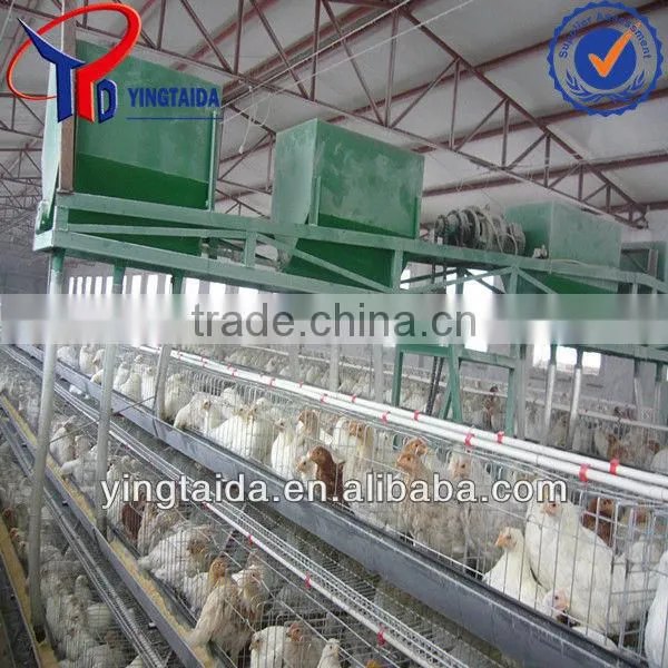 Poutry Farming Equipment