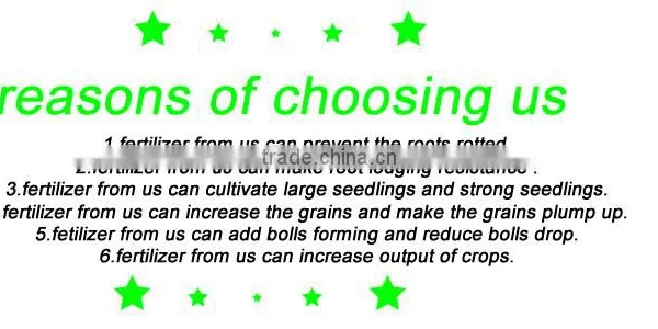 Granular Npk Compound Fertilizer 20-20-20 photo-6
