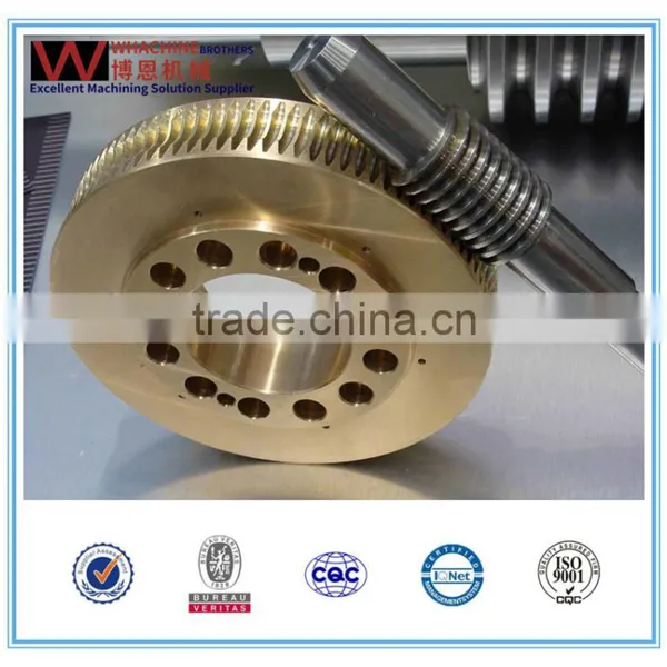 Professional Manufacturer Brass/Steel/Small/Large Worm Gear photo-3