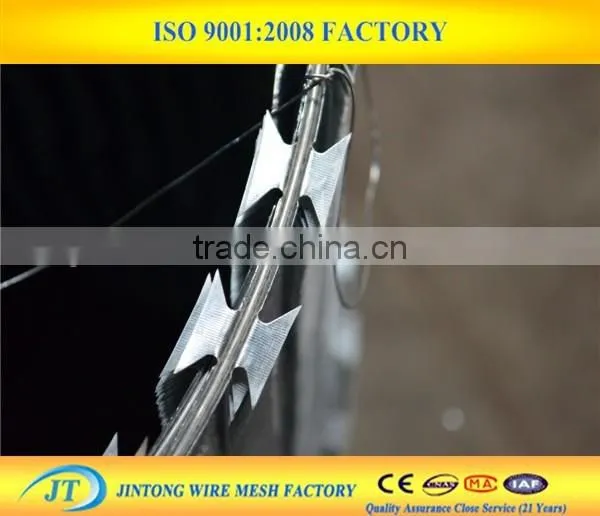 Wholesale Price Razor Wire Security Fencing Spikes photo-3