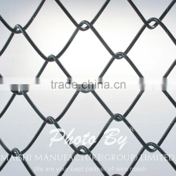 Chicken Chain Link Fence photo-6