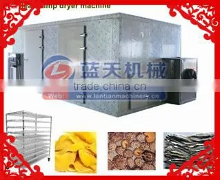 Apples Slices Chips Drying Machine/apples Slices Chips Dryer photo-2