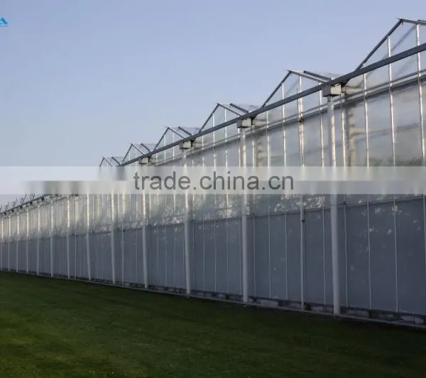 Multi Span Polycarbonate Green House Agriculture & Commercial Used Greenhouse photo-4