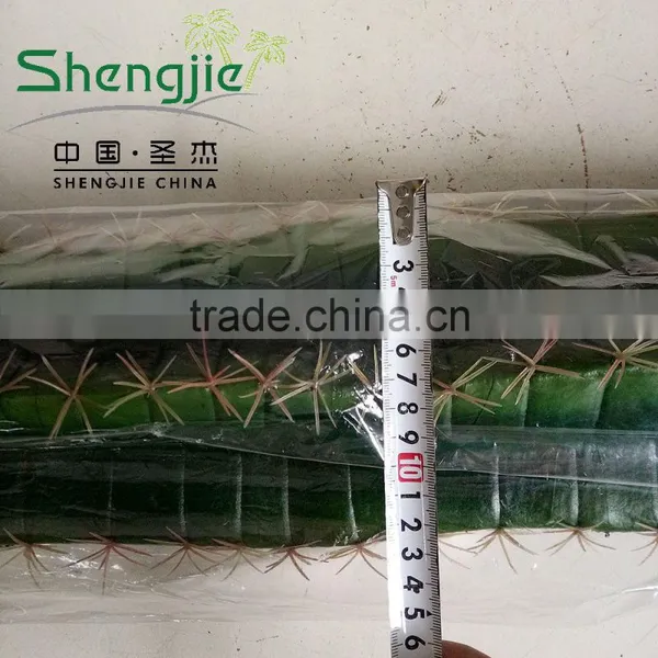Outdoor Decoration Artificial Cactus Plants photo-6