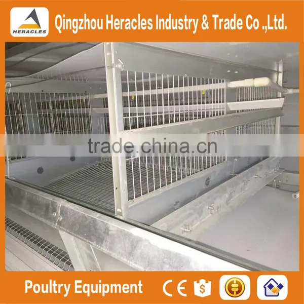 Heracles Best Design Durable Automatic H Type Battery Layer Chicken Cage photo-3