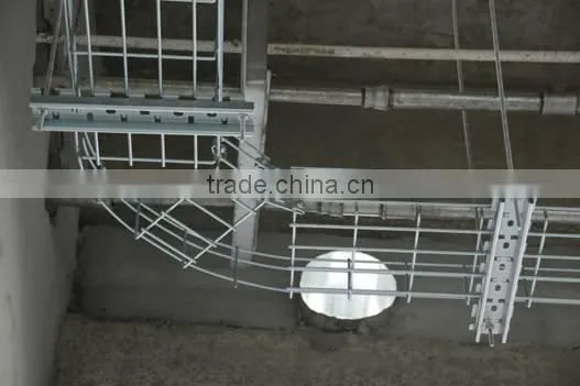 Why All Customer Choose Hot Dipped Galvanized Wire Mesh Cable Tray photo-4