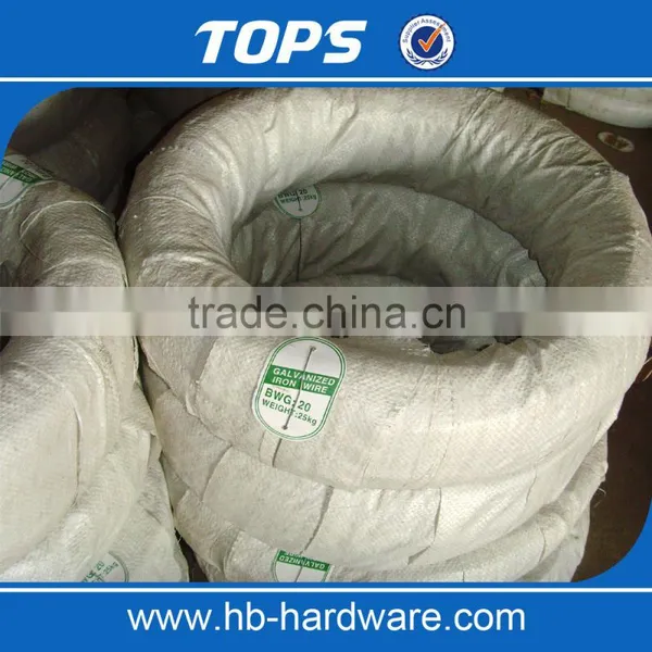 BWG18 Electro Galvanized Wire photo-4